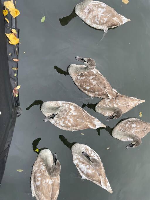 伦敦 Comfy Canal Boat In Little Venice For Family & Friends酒店 外观 照片
