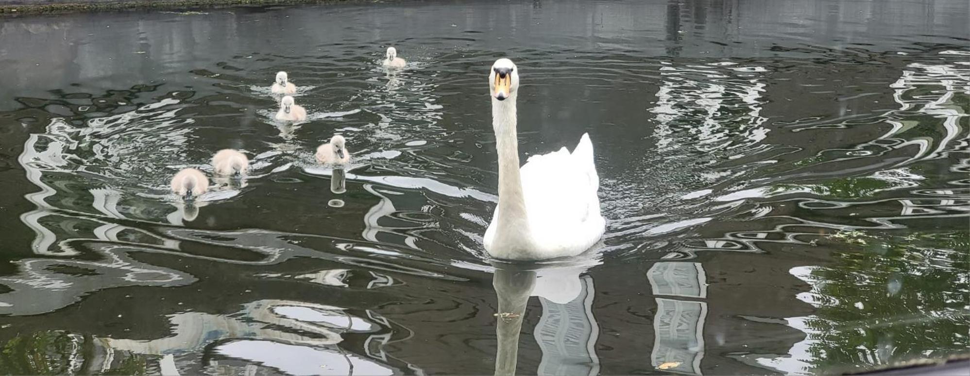 伦敦 Comfy Canal Boat In Little Venice For Family & Friends酒店 外观 照片